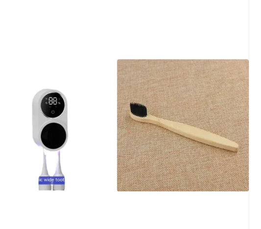 Portable toothbrush sterilizer